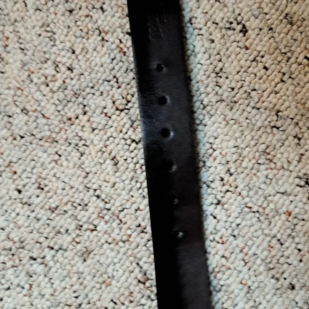 True Religion Classic Dark Brown Casual Belt Size 36
